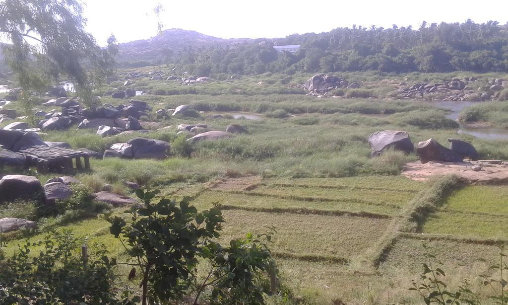 Golden Garden Hampi Hotel ภายนอก รูปภาพ